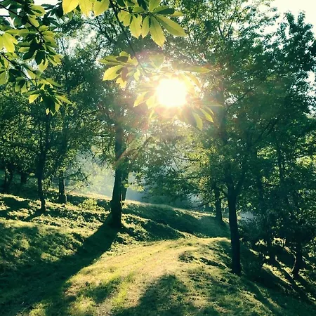 Cosy Getaway In Raw Nature *