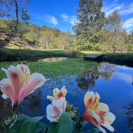 Cosy Getaway In Raw Nature Šentjur