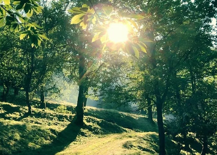 Cosy Getaway In Raw Nature *