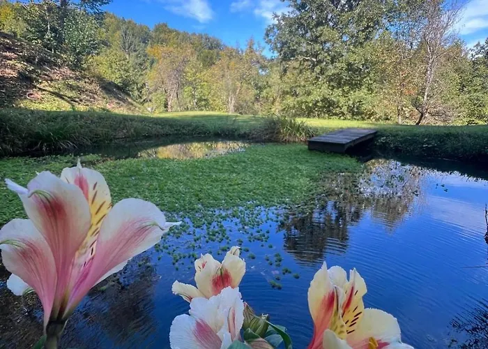 Cosy Getaway In Raw Nature Šentjur